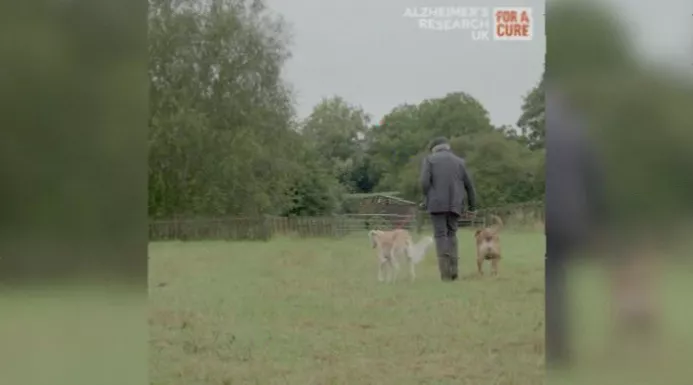 A person walking a dog as part of daily life with a health condition.