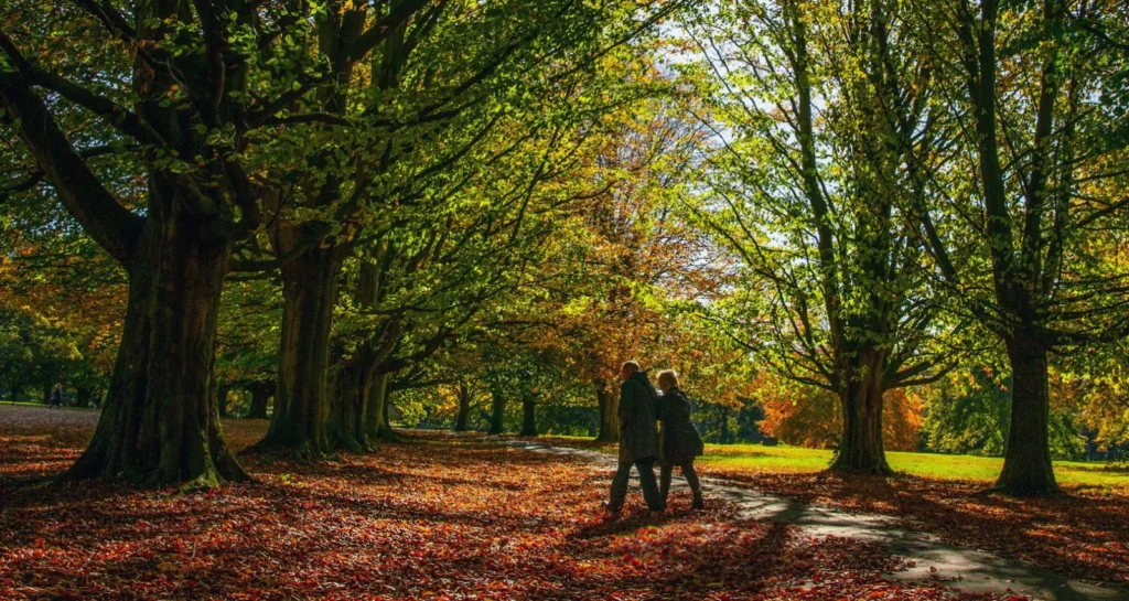 Scientific research dispels 10,000 step rule Older woman walking with a step counter on a country path.