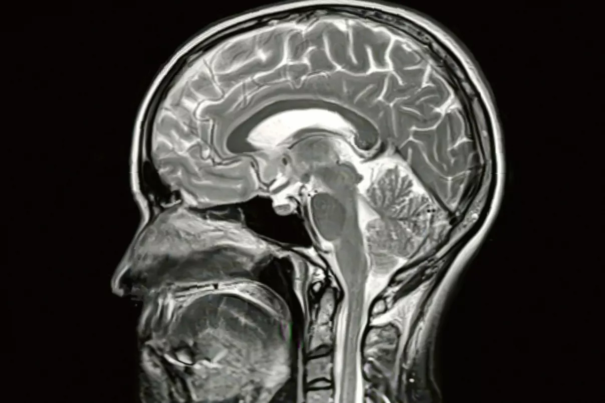 Researcher examining mouse model brain tissue for tau protein accumulation