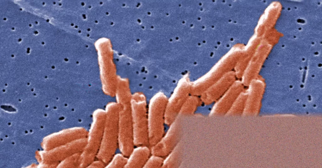 Climate crisis fuelling faster antibiotic resistance globally, study finds Global map showing recorded increases in Salmonella antibiotic resistance genes across 139 countries