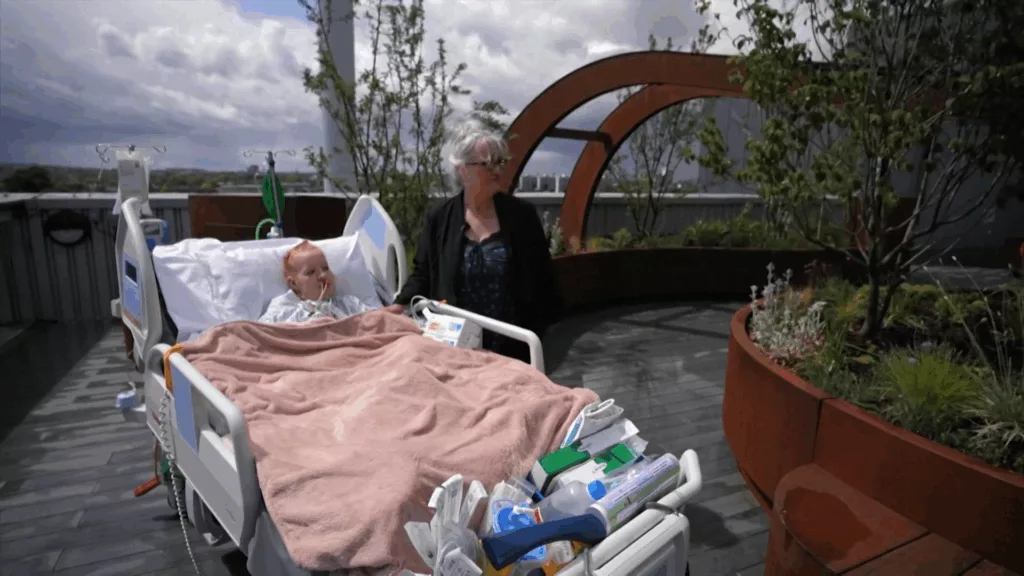 Critical care patients at King’s College Hospital given new rooftop garden Rooftop garden with medical cabinets and planted beds at a London hospital