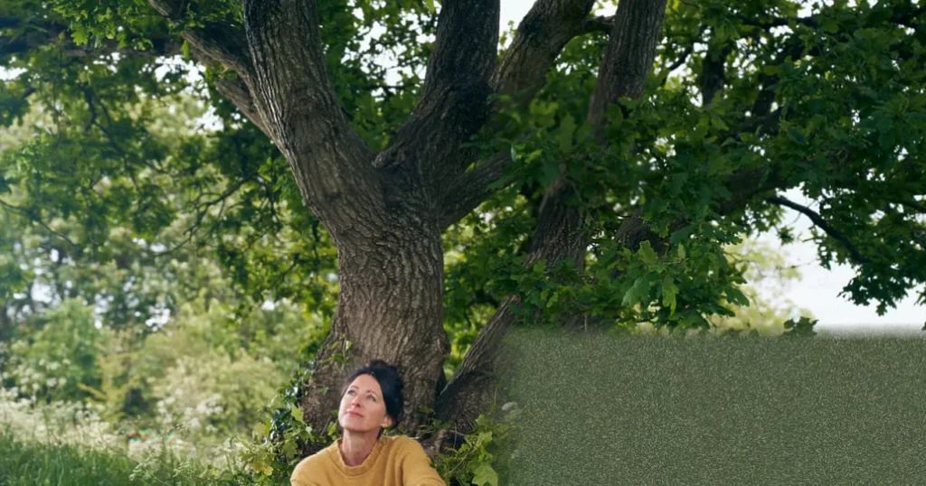 An oak tree on an urban hillside in Clevedon near Bristol, where a woman meditated daily for a year