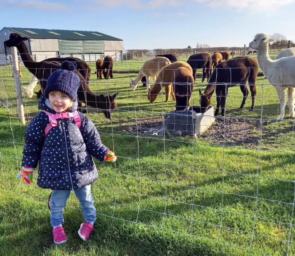 Toddler left unable to walk after alpaca farm accident A young child crawling on the living room floor in pain after a leg injury